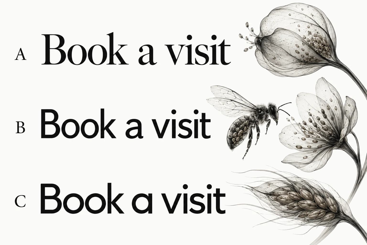 The words Book a visit appear as three aligned serif and sans font specimens labelled A, B and C