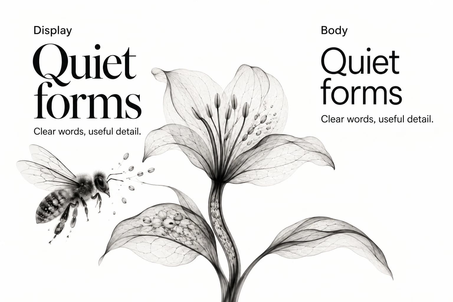 Display and Body specimens contrast an expressive heading with quieter supporting text