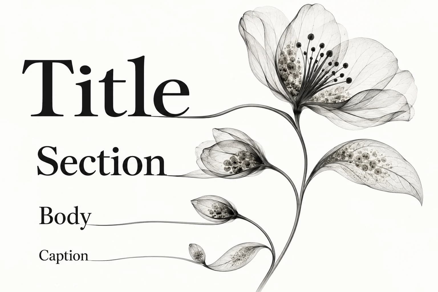 Title, Section, Body and Caption descend in visual emphasis along a flower stem